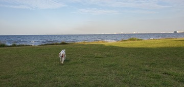 20200515_053809