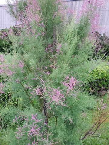 20190722_053701