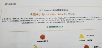 20190822_172057