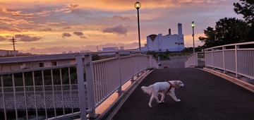 20200918_051830