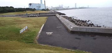 20190820_052917