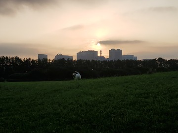 20190725_052221