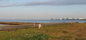 20200529_051037