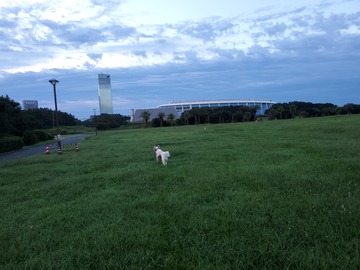 20190919_053942
