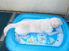 2012年8月26日 029