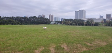 20200601_052623