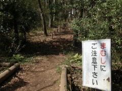 CIMG0237