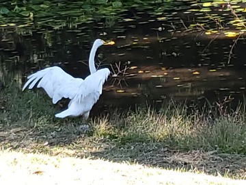 20191023_105319