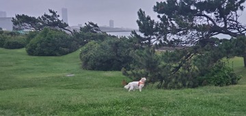 20200926_054559