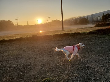 20191212_070045