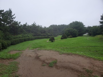 20190717_060611