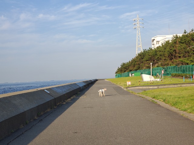 20190619_055119