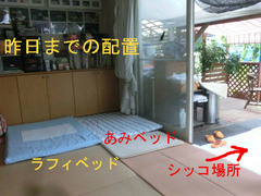 BlogPaint