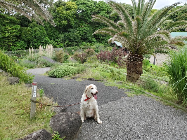 20190622_100525