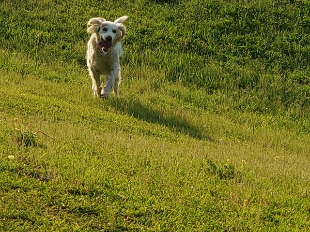 20190619_053923