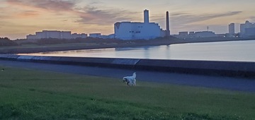 20190813_044325