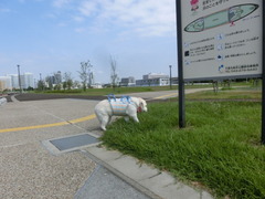 CIMG0445