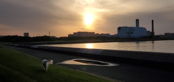 20200524_045644