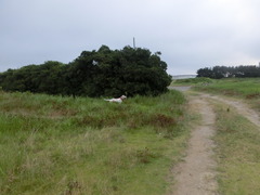 CIMG0029