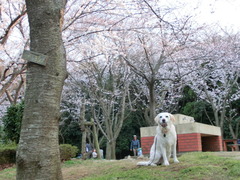 CIMG0679