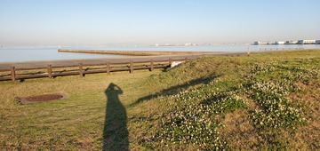 20200514_052603