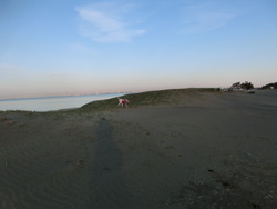 CIMG0093