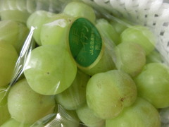 CIMG6068