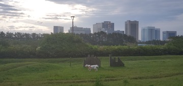 20200511_053751