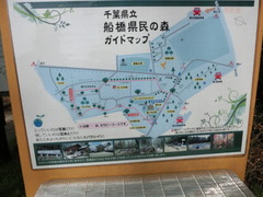 CIMG0235