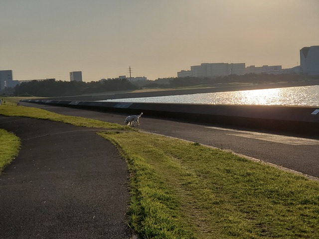20190619_053112