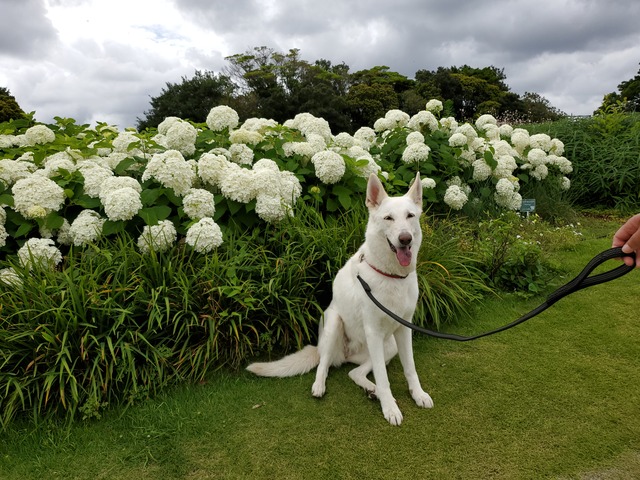 20190622_090548