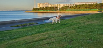 20200928_060918