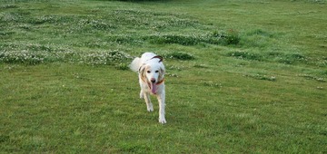 20200524_051320