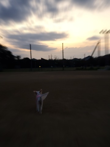 20191109_055447 - コピー