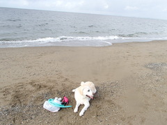 2012年9月17日 031