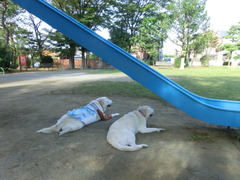 CIMG0585