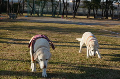 DSC00802