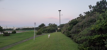 20200930_053109