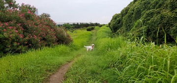 20190824_051543