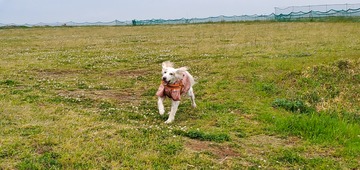20200504_060943