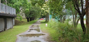 20200701_052005