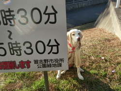 CIMG2397