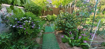 20200514_074209