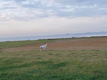 20191001_061340