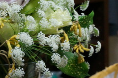 DSC00138