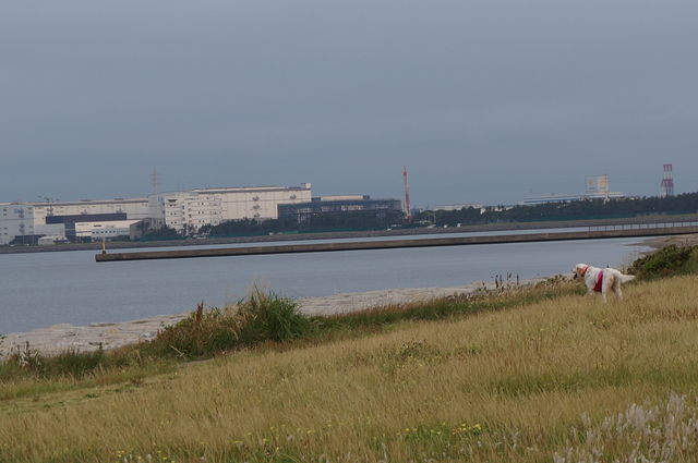 DSC01370