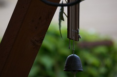DSC00068
