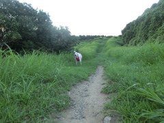 CIMG0427