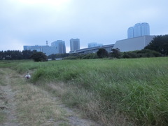 CIMG0027