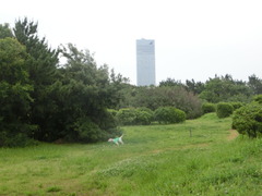 CIMG0863